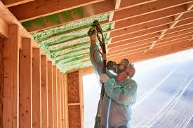 Professional Insulation in Lindsay, TX